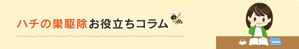ハチの巣駆除お役立ちコラム