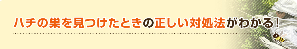 ハチの巣を見つけたときの正しい対処法がわかる!